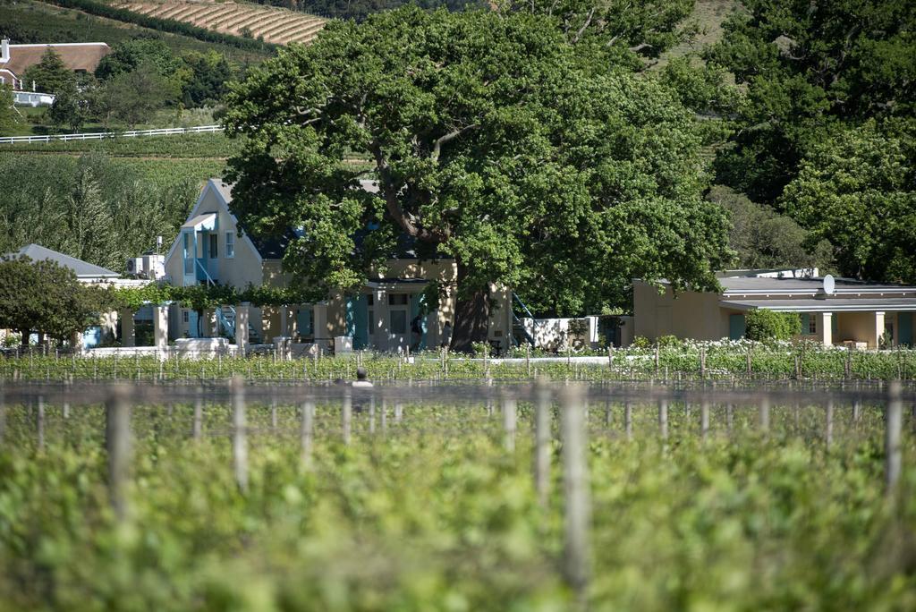 Auberge Clermont Franschhoek Exterior foto