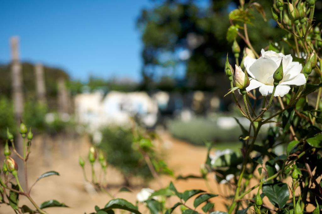 Auberge Clermont Franschhoek Exterior foto