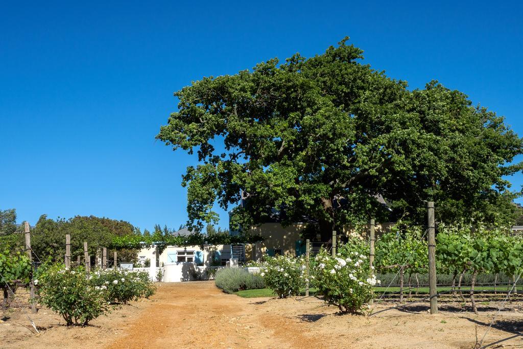 Auberge Clermont Franschhoek Exterior foto