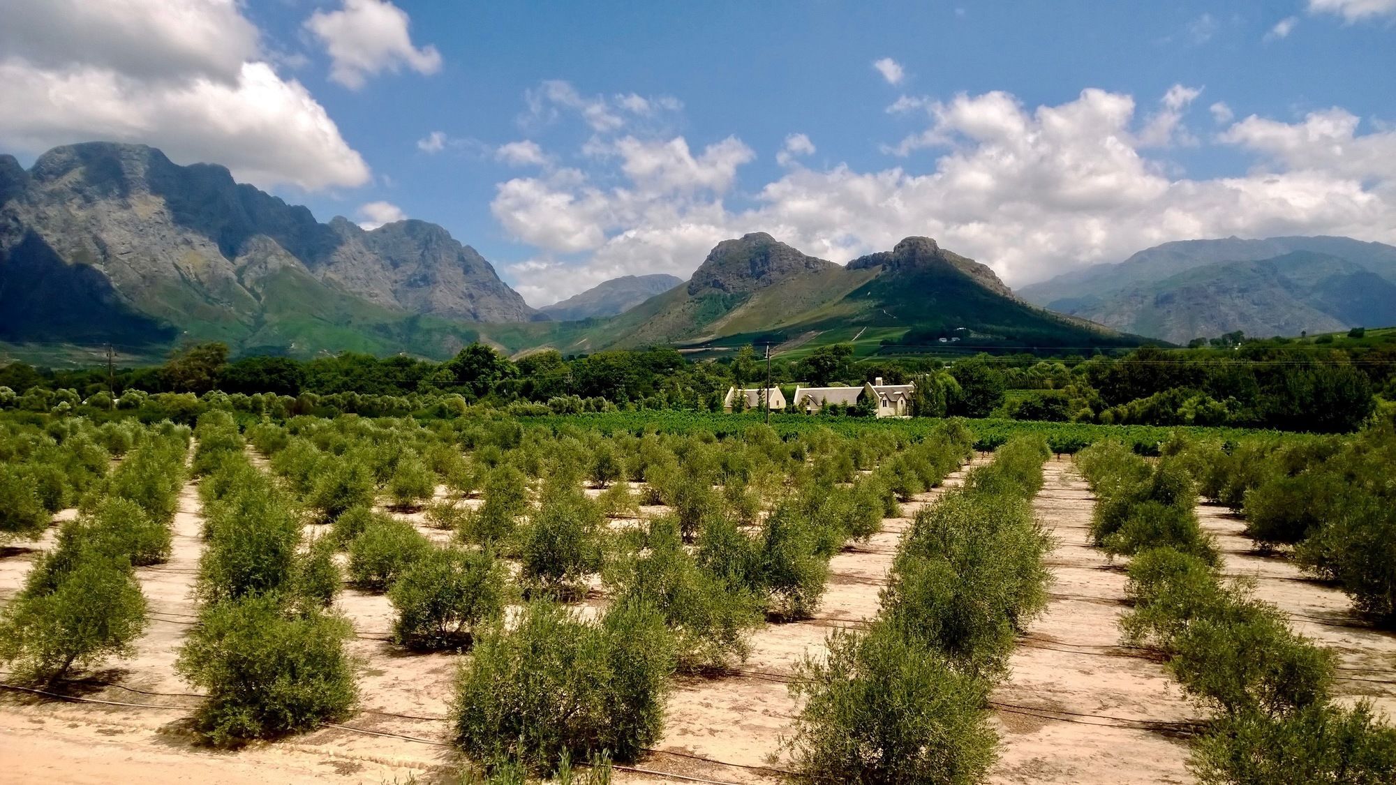 Auberge Clermont Franschhoek Exterior foto