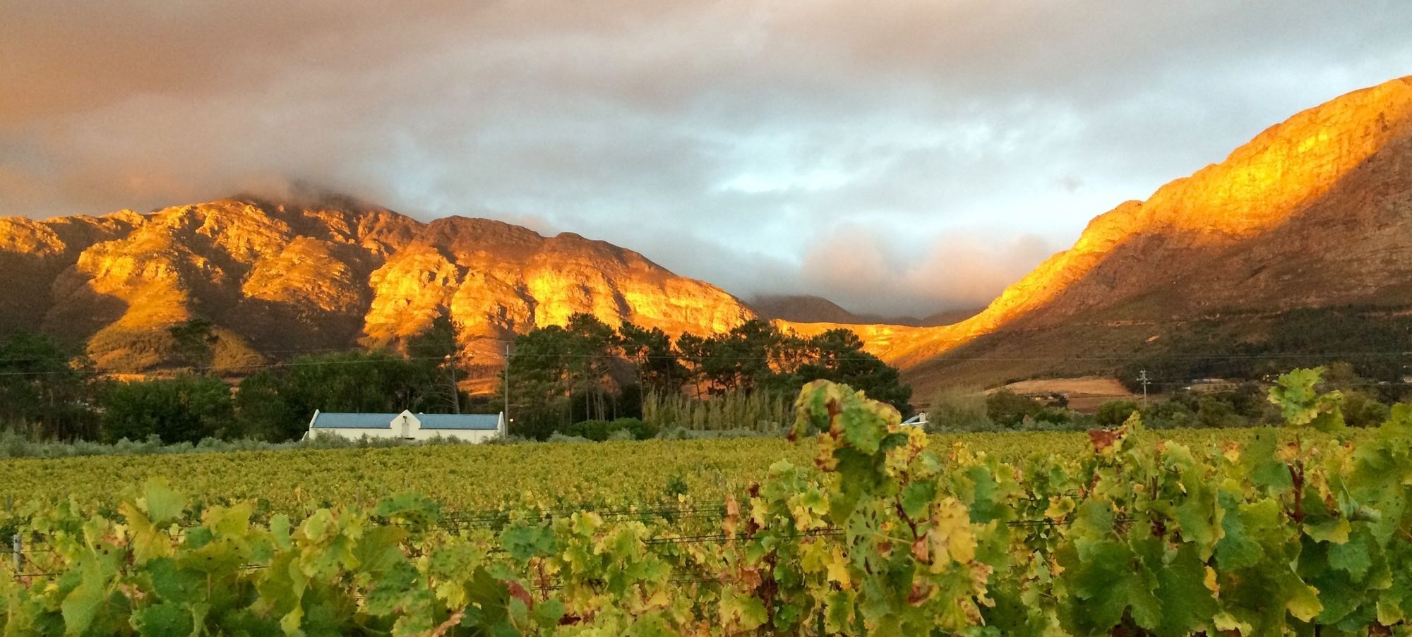 Auberge Clermont Franschhoek Exterior foto