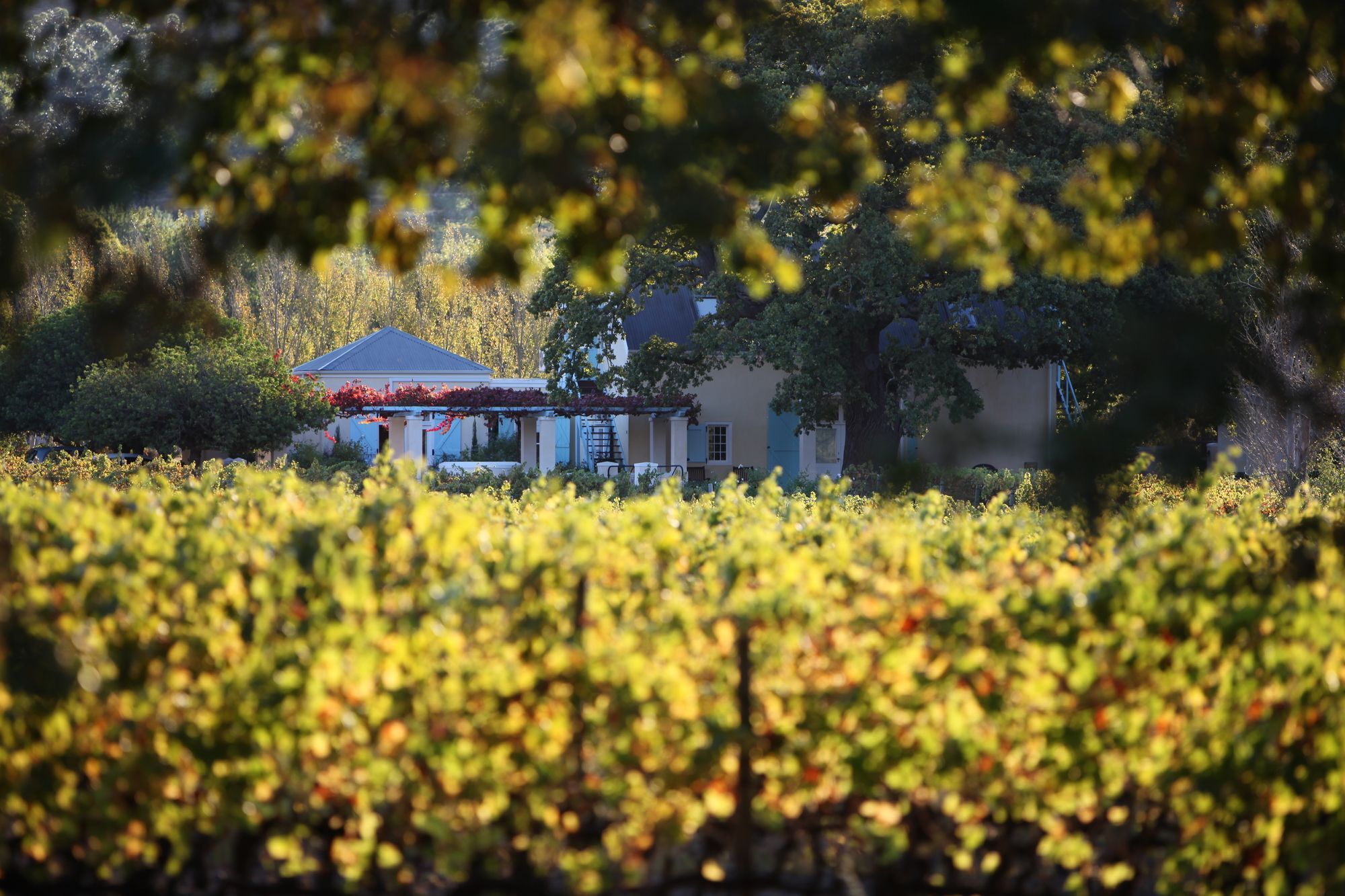 Auberge Clermont Franschhoek Exterior foto