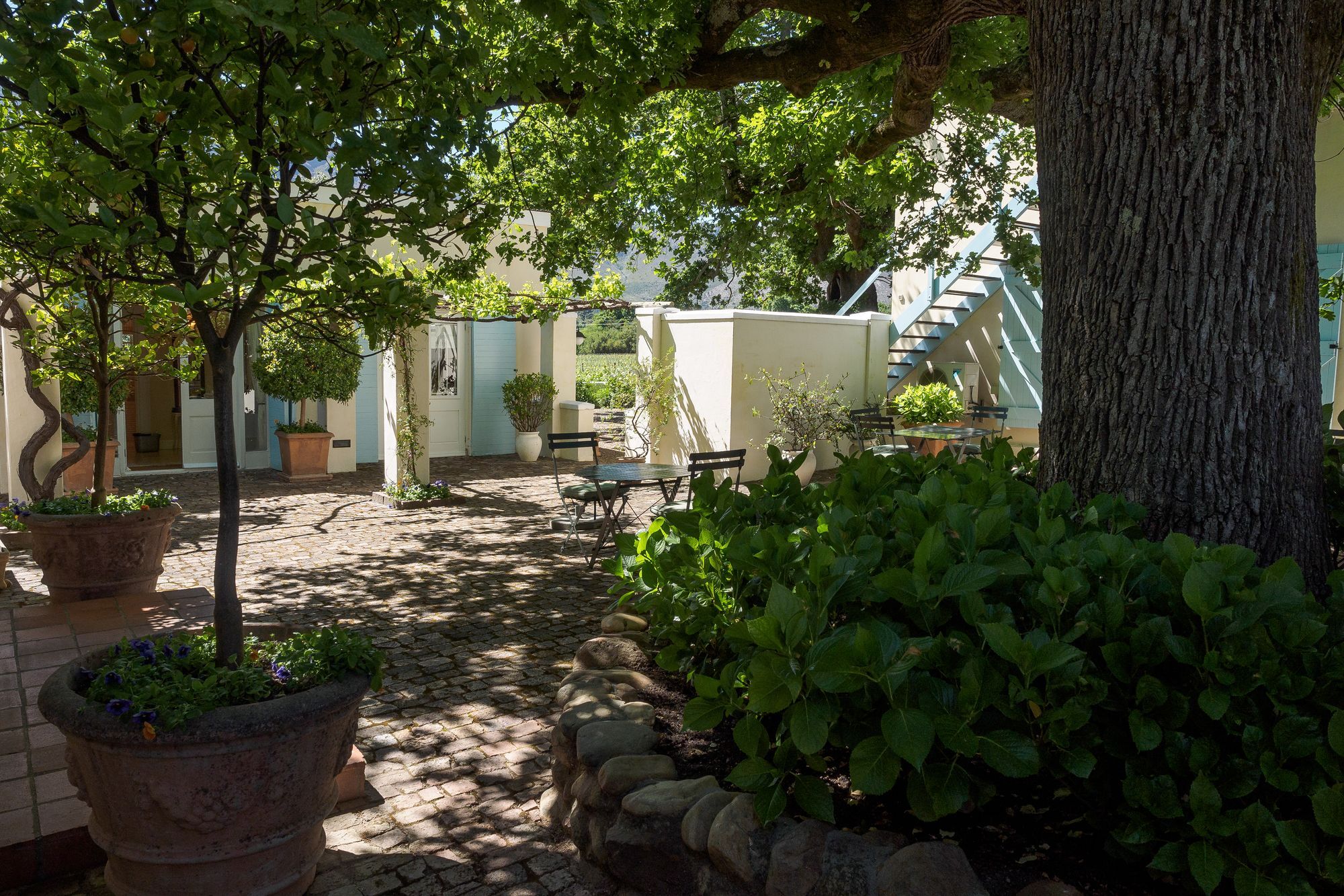 Auberge Clermont Franschhoek Exterior foto