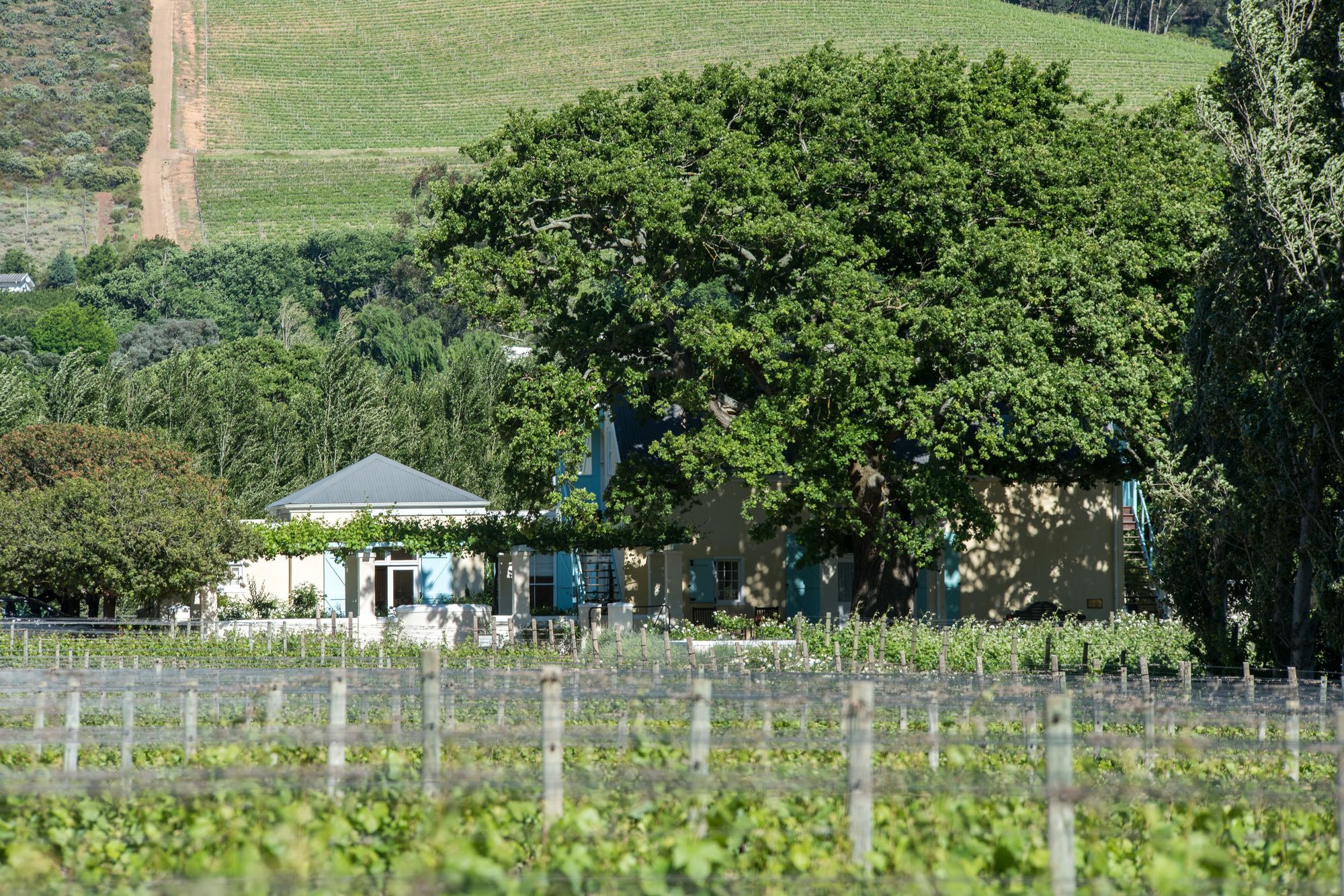 Auberge Clermont Franschhoek Exterior foto